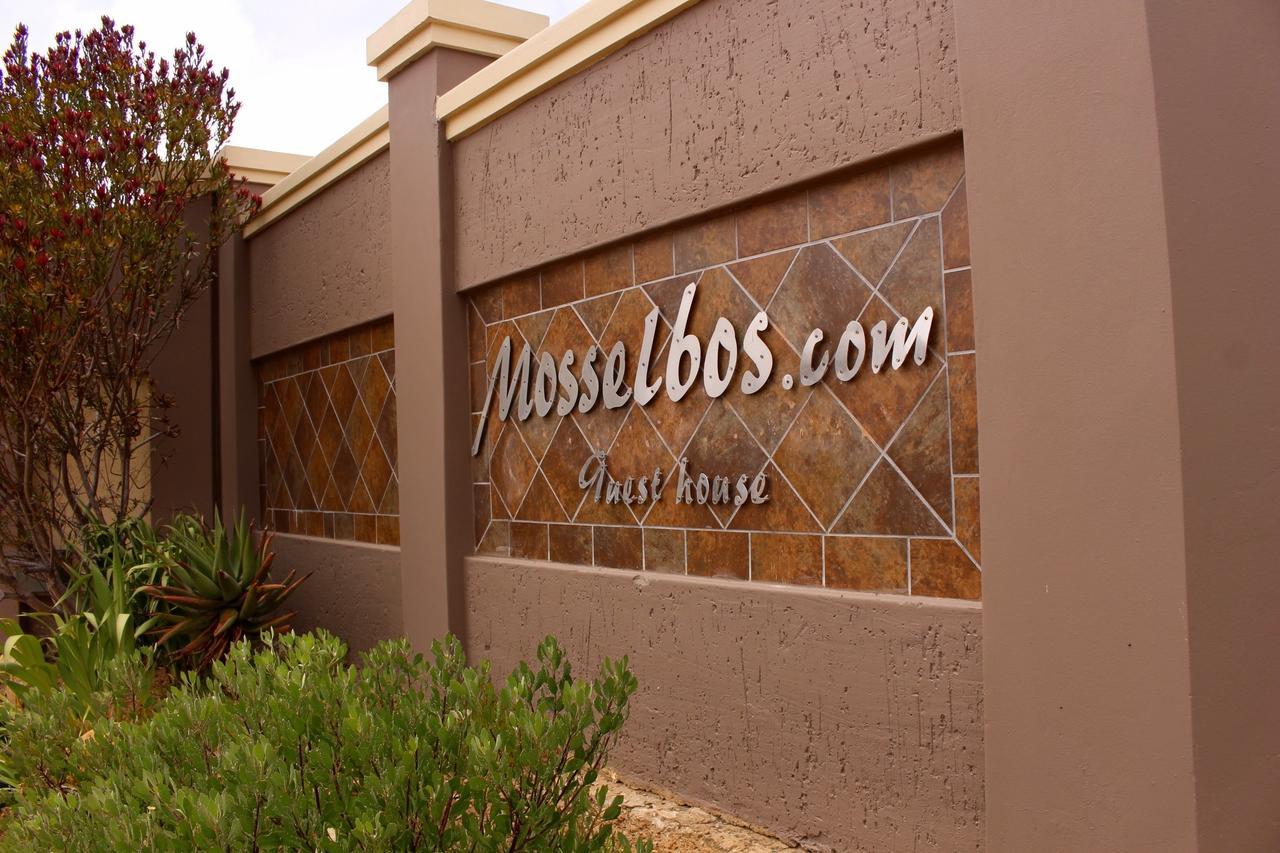 Mosselbos Guesthouse Self-Catering Great Brak River Εξωτερικό φωτογραφία