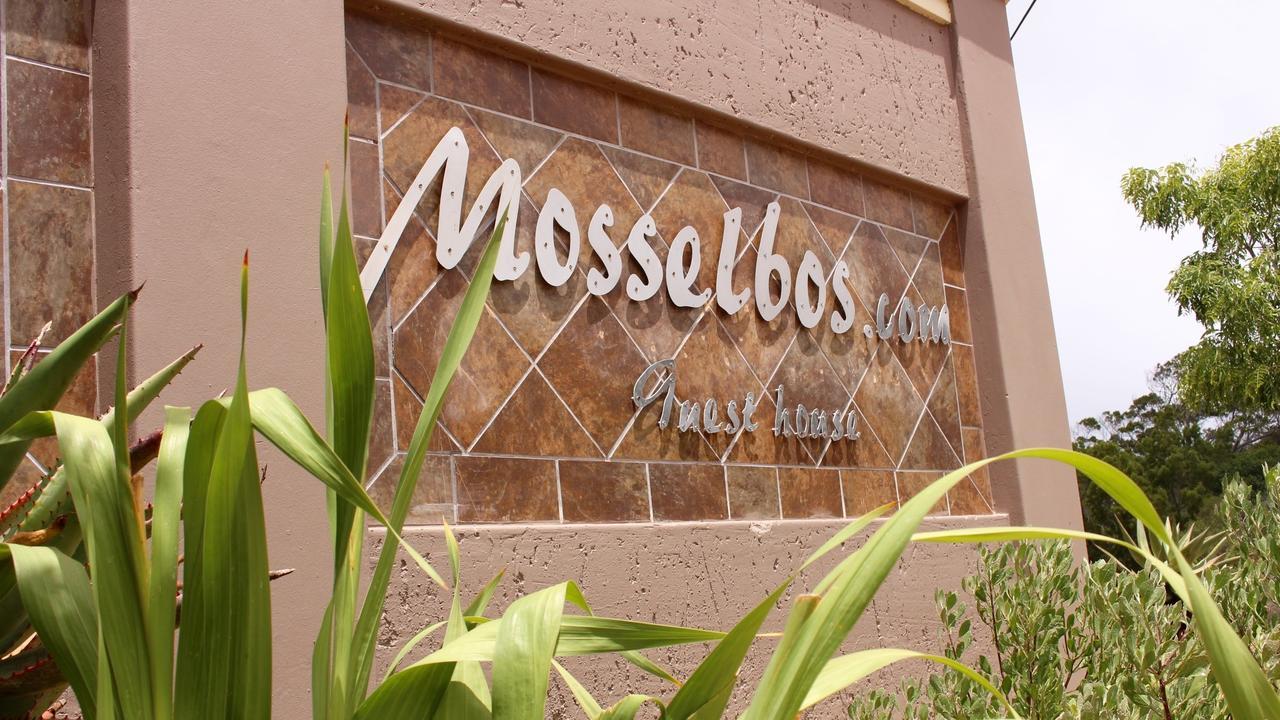 Mosselbos Guesthouse Self-Catering Great Brak River Εξωτερικό φωτογραφία